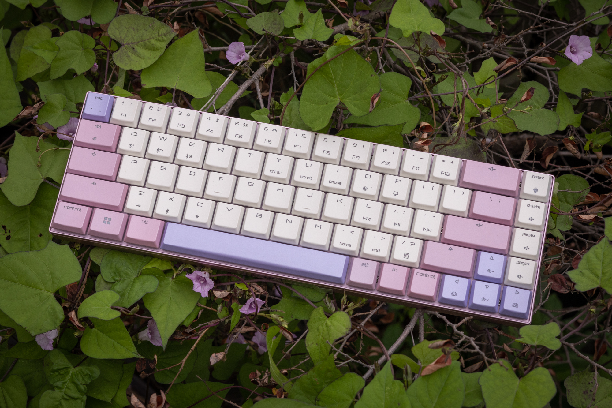 键盘推荐性价比高反应快的键盘,选键盘要用哪个品牌