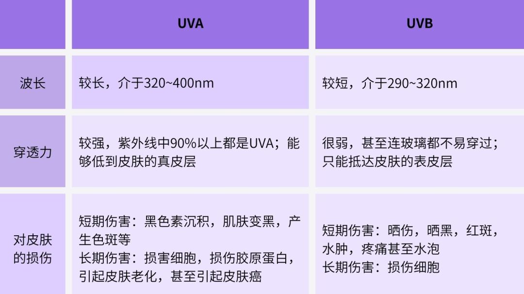 常年不晒太阳的人会怎么样,常年不晒太阳会怎么样