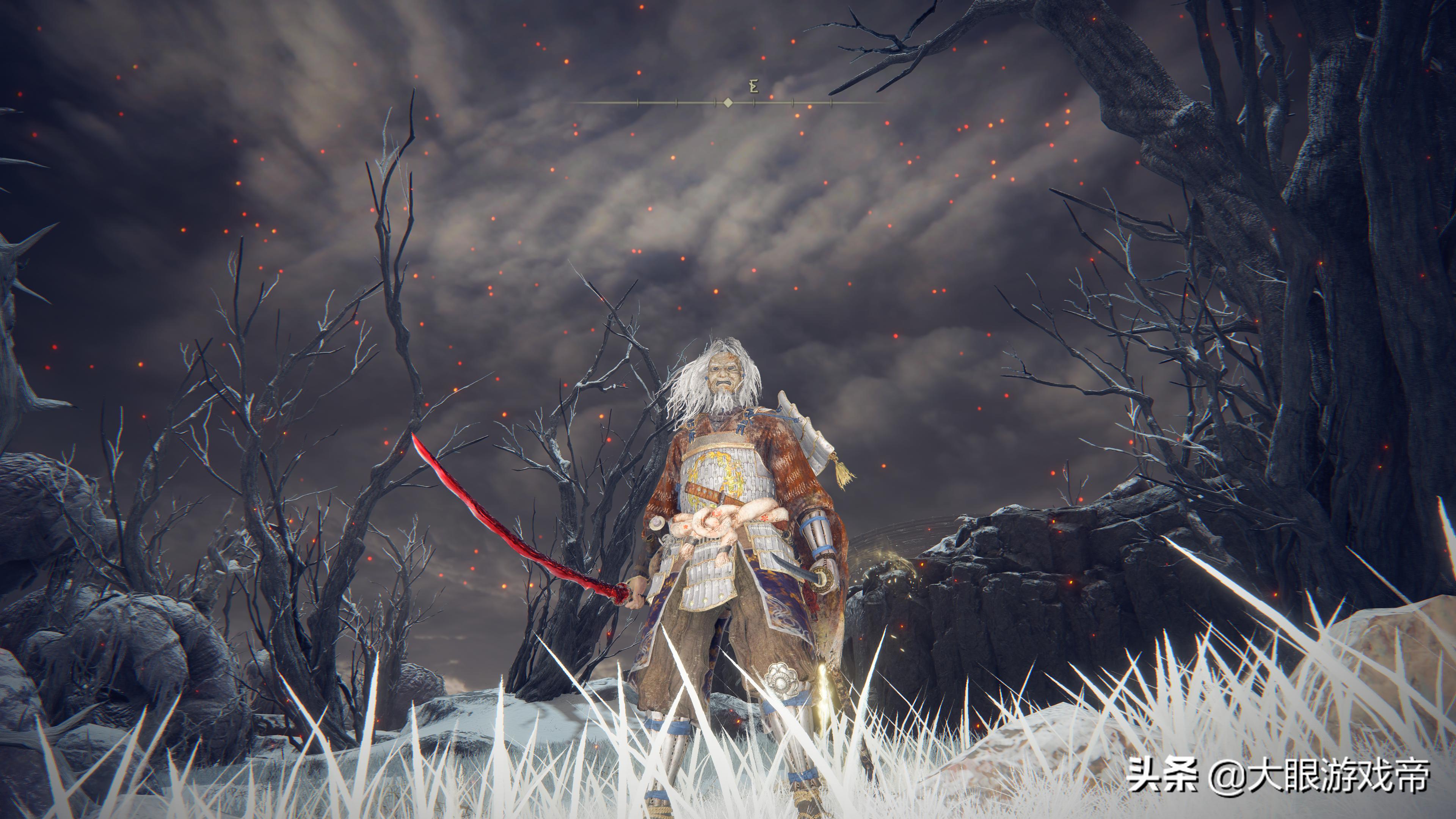 艾尔登法环特大剑图鉴,艾尔登法环套装图鉴