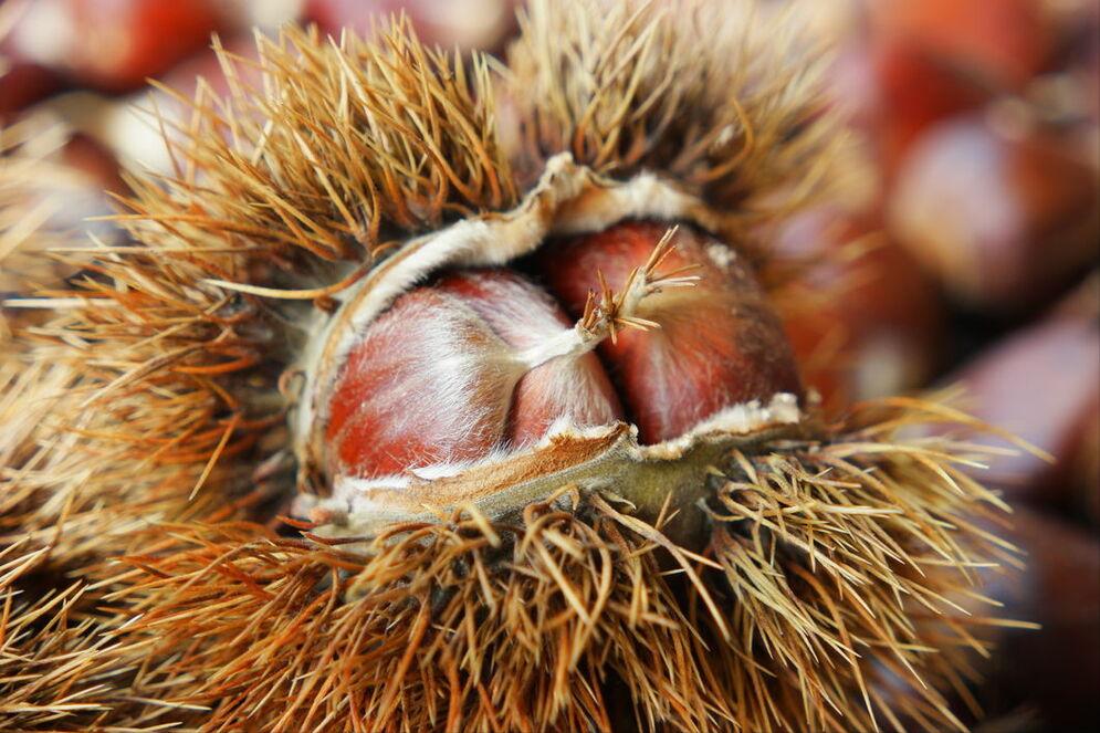 煮板栗，用冷水还是开水？学会2个窍门，香甜绵软，好剥壳不粘皮