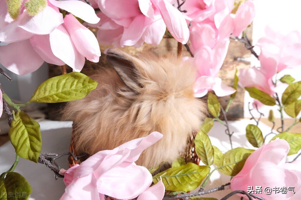 母亲的恋爱忠告,母亲对恋爱中的女儿的忠告