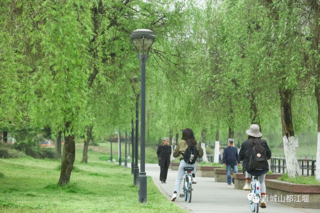 都江堰小众人少的地方,都江堰小众秋天打卡地