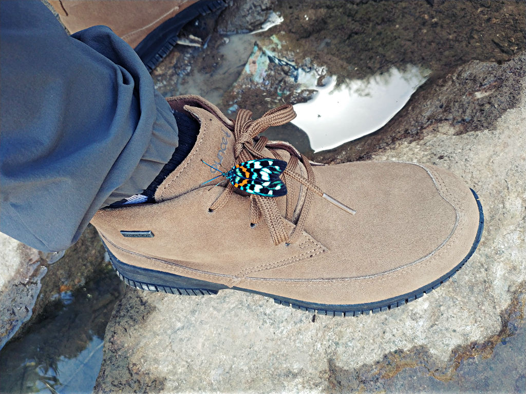 遨游仕t3徒步鞋有多重,遨游仕l3测评