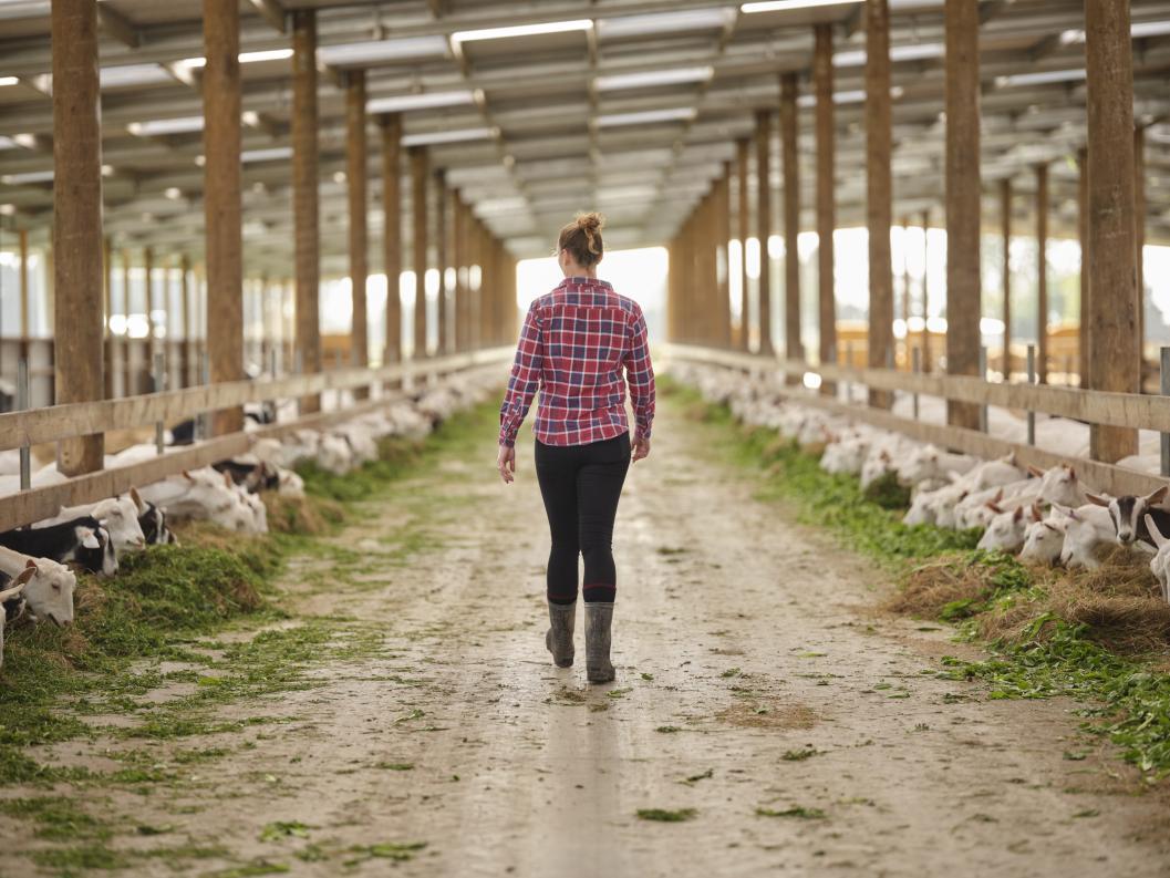 进口羊奶粉口碑最好的前十名,进口羊奶粉排名前十的有什么品牌