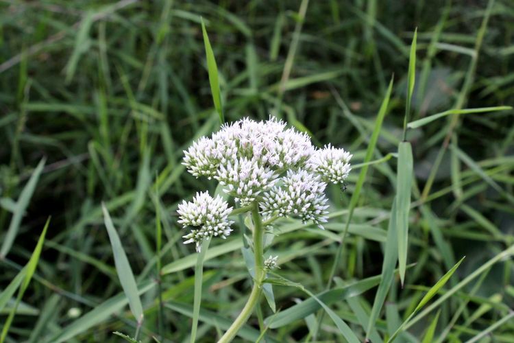 山东青州黄花溪景区图片,山东九寨沟黄花溪