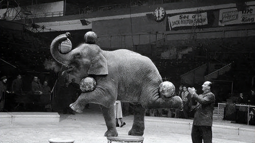 唯一被绞刑的人,唯一被凌迟处死的人