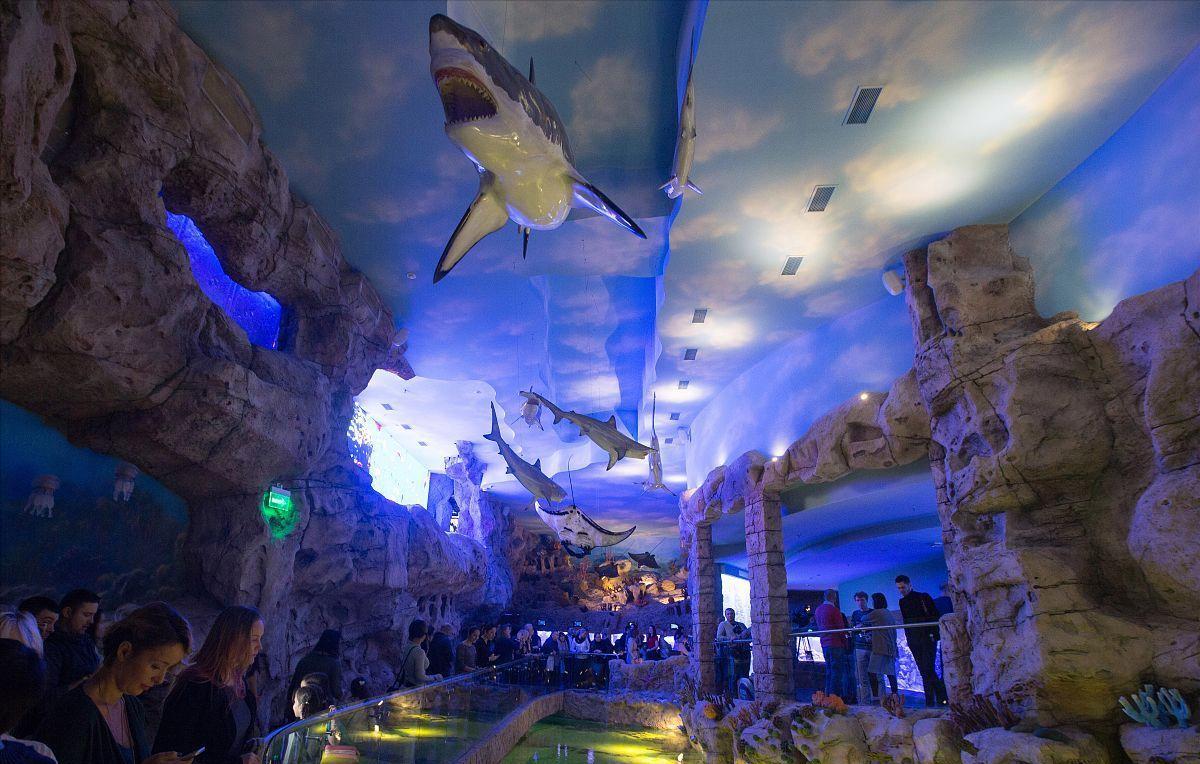 常州恐龙乐园最值得玩的项目,常州恐龙乐园旅游攻略