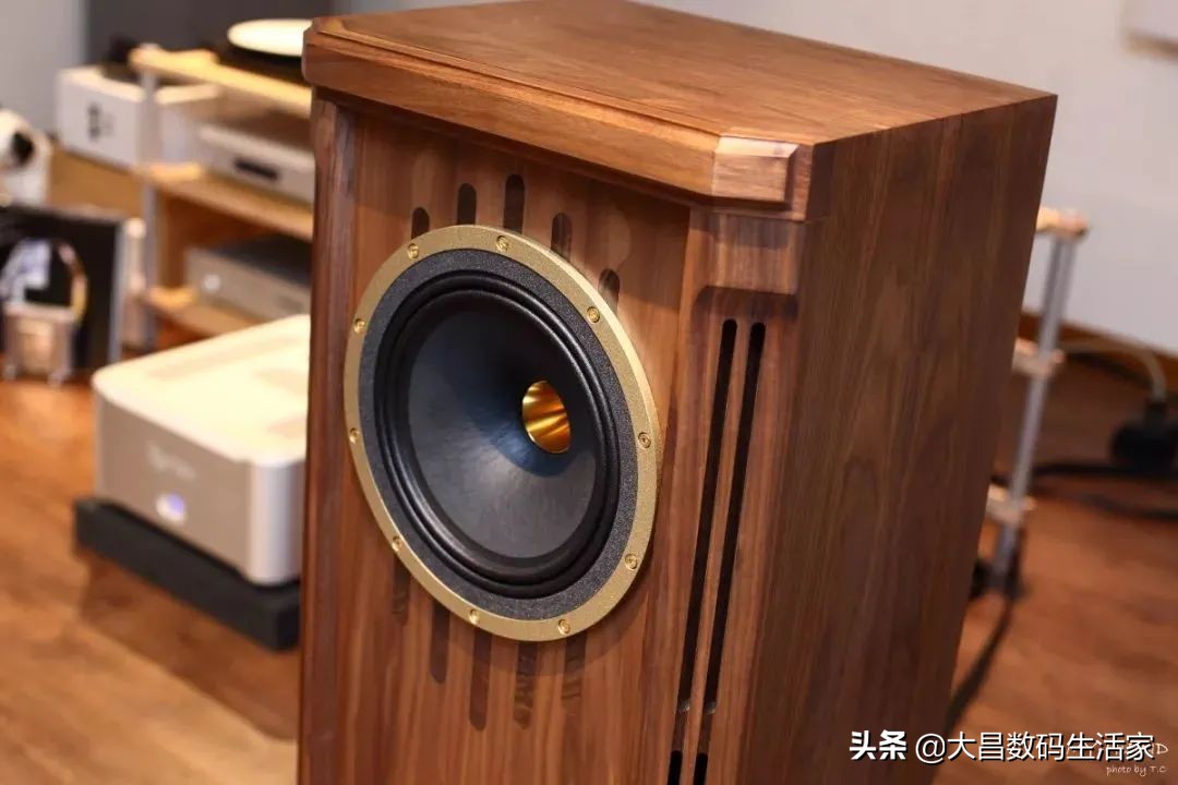 英国tannoy天朗监听音响,英国天朗音箱哪一款性价比高