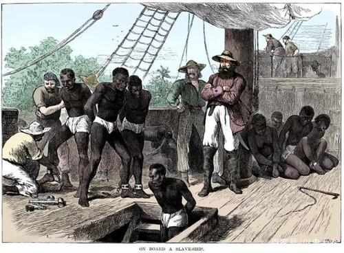 棉布如何导致*国亡**？害惨黑人的为何是印度？