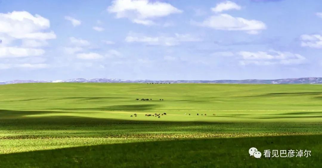 鸿雁巴彦淖尔市市歌,歌声里的内蒙古