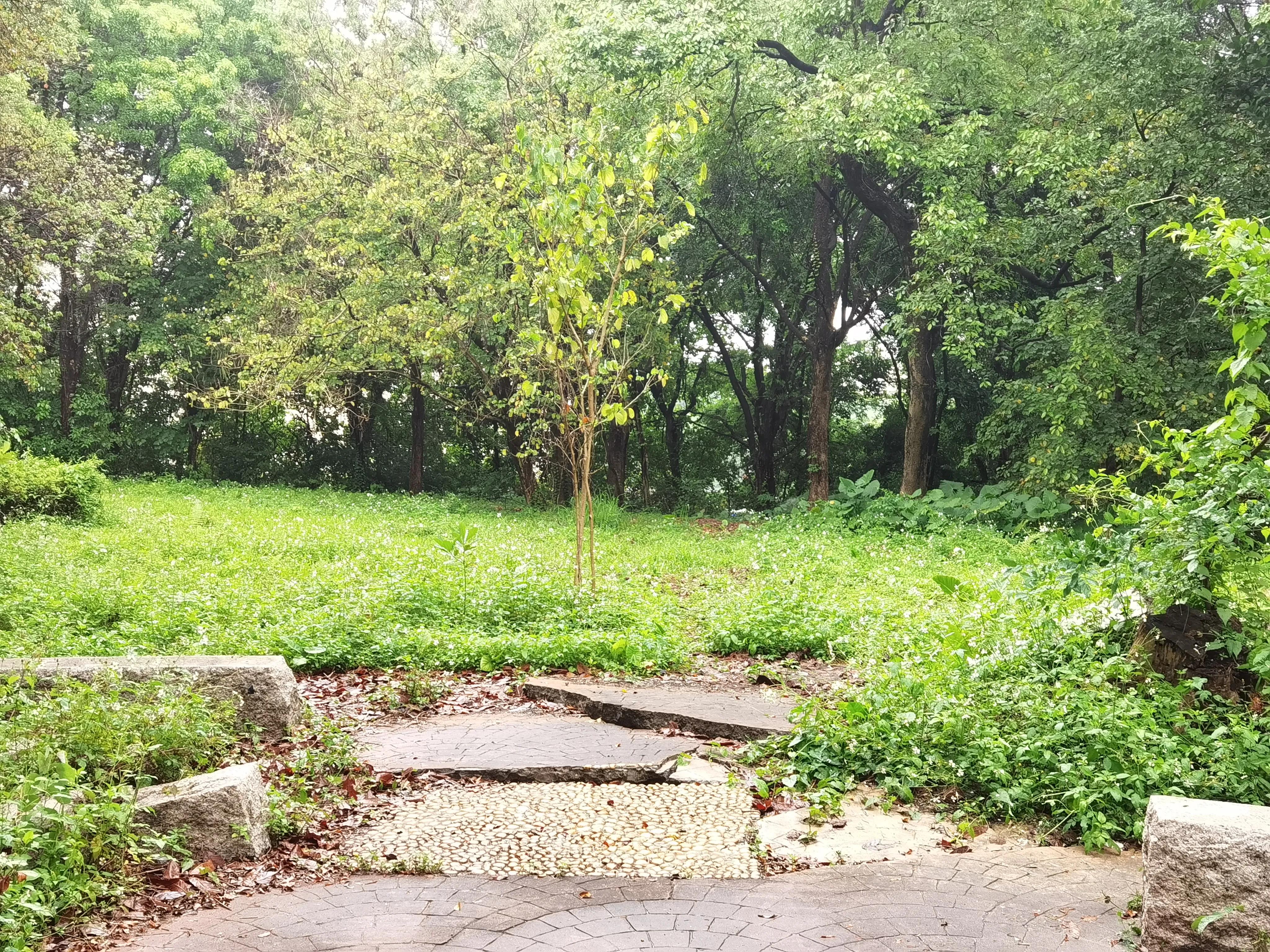 雨字开头的诗句唯美短句,100句下雨天的诗句