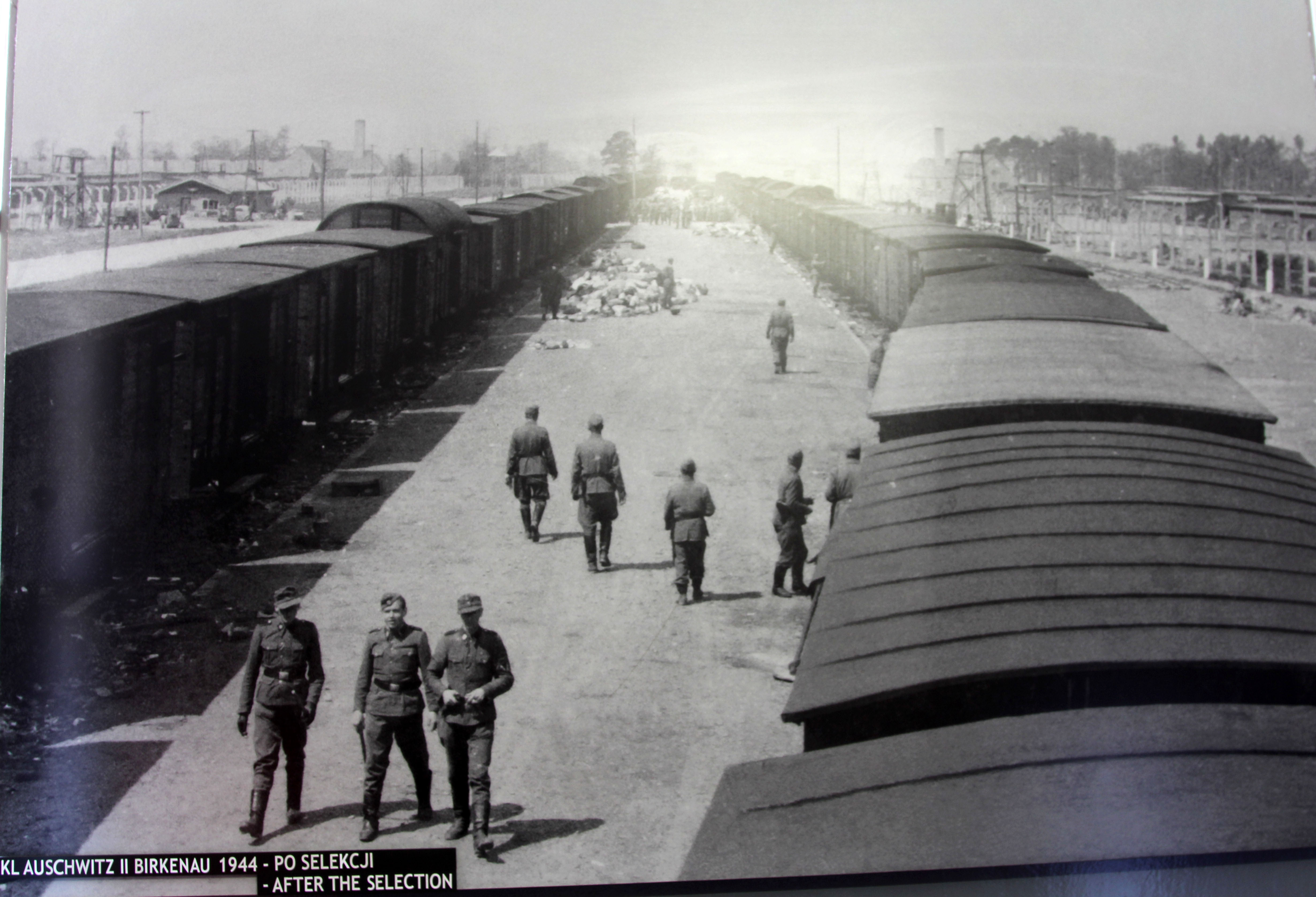 荷兰阿姆斯特丹景点,荷兰阿姆斯特丹旅行视频