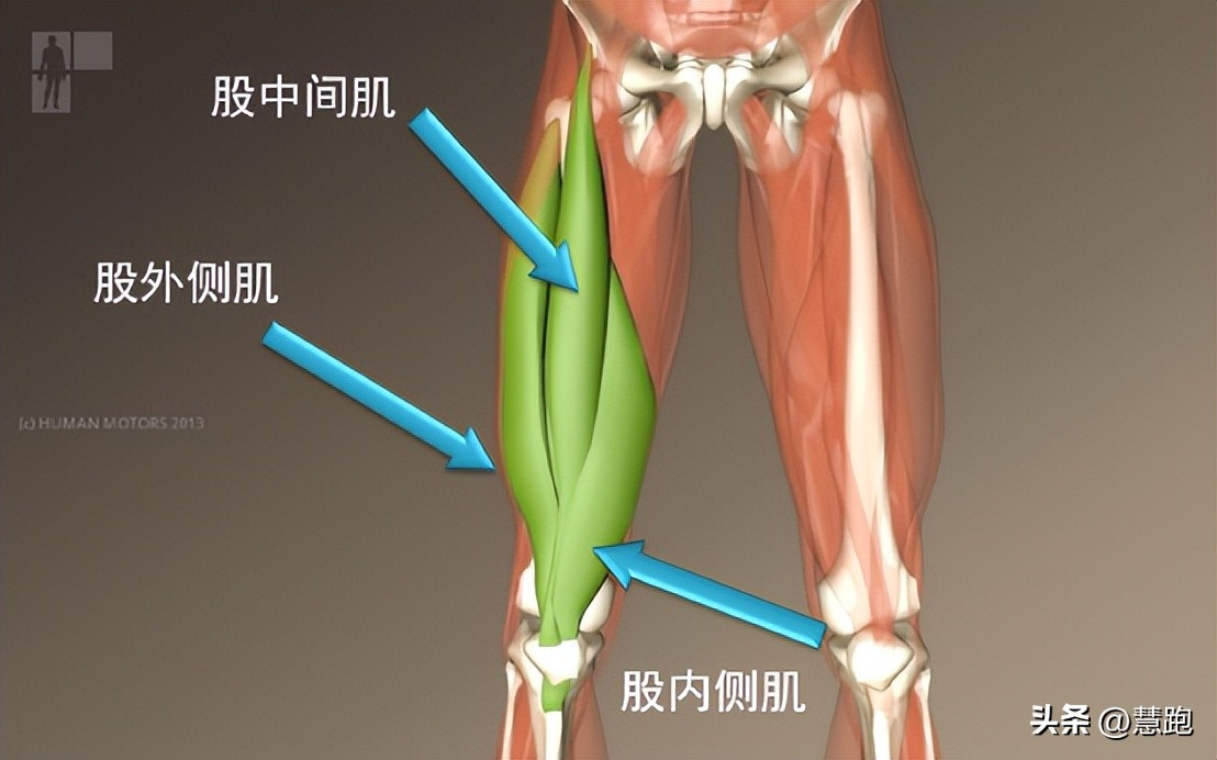 跑者最先该练小腿力量还是大腿,10个动作专练跑者关键部位肌肉
