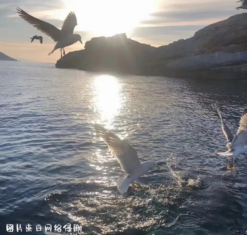 好听车载dj歌曲大全100首,好听的歌曲排行榜10首