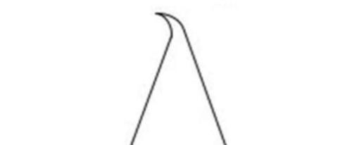 日本厨刀和中国菜刀,哪种日本厨刀最好用