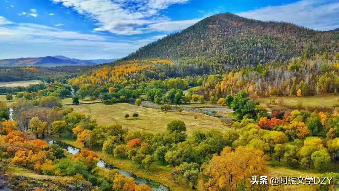 新聊斋故事大全完整版,新聊斋故事