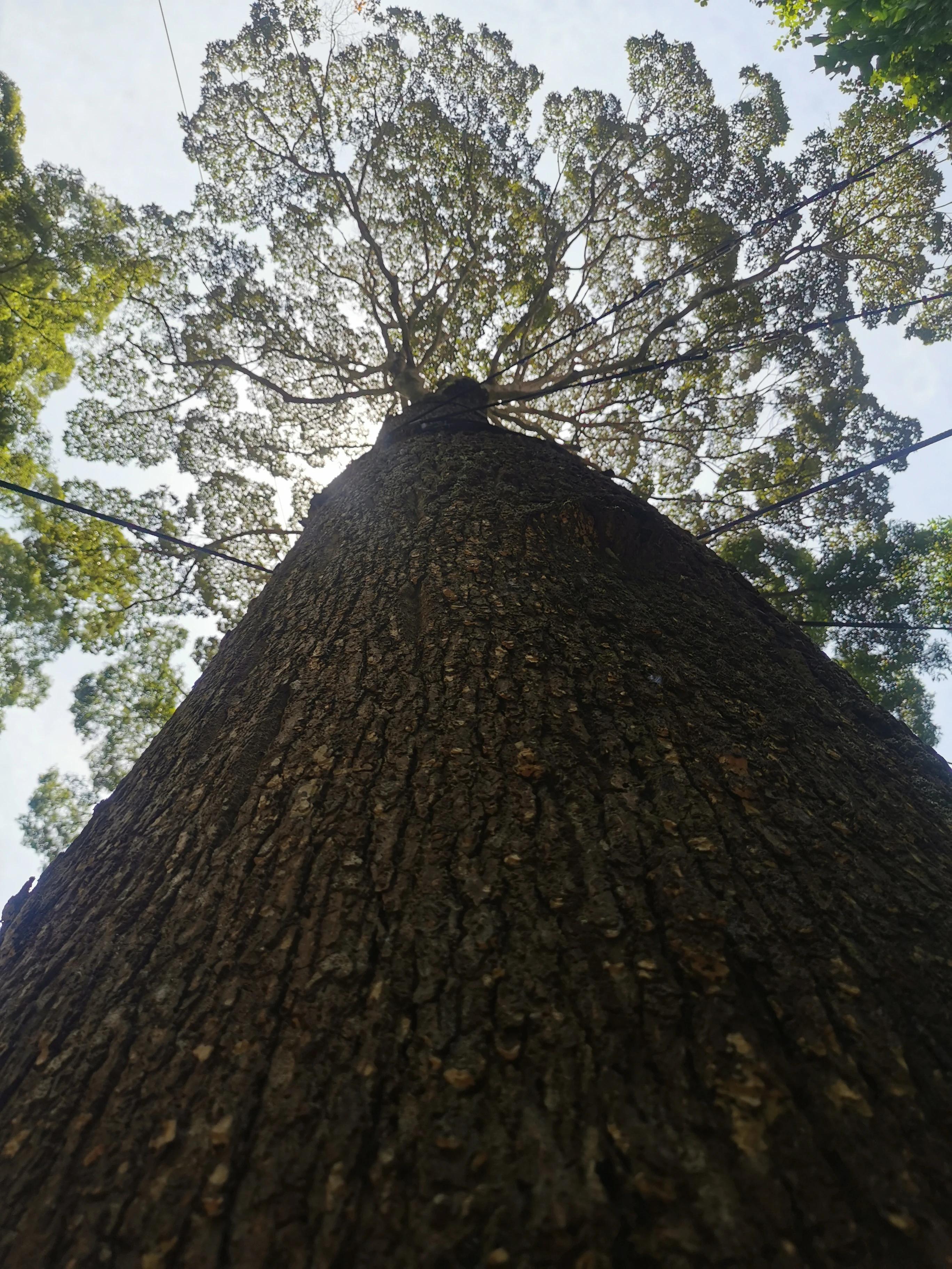 普吉岛5天4晚路线,普吉岛五天4晚游