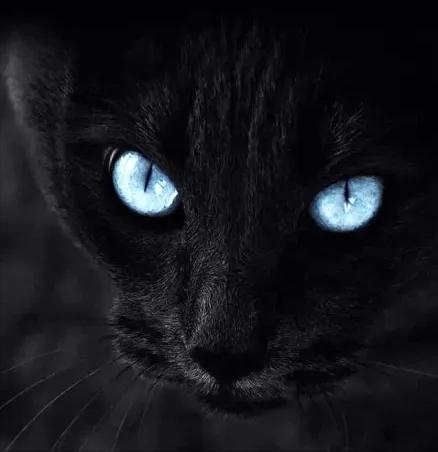 李贺经典诗句赏析,诗鬼李贺经典诗词六句