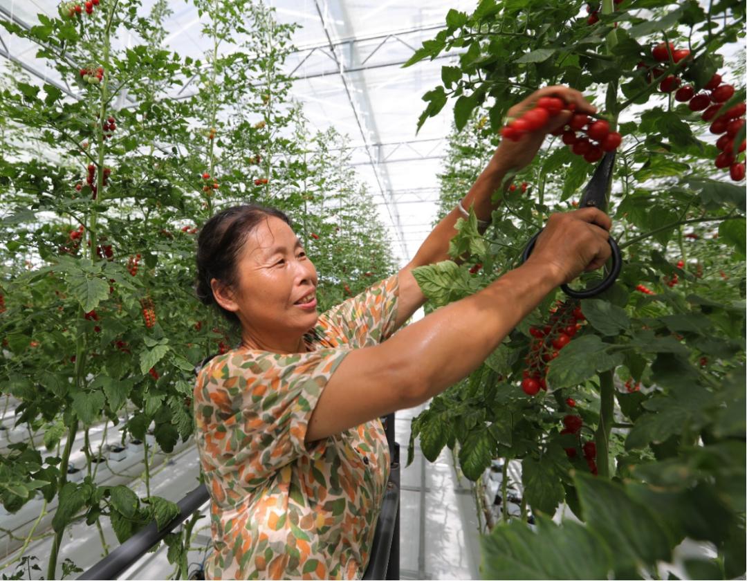 重庆市开州区乡村振兴产业图片,重庆开州区乡村振兴文件