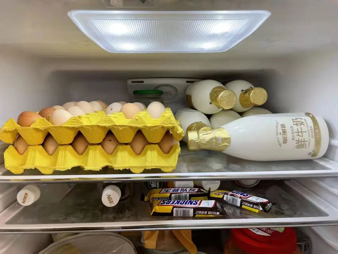 我在上海一天的日常,上海跑腿都可以月入10万