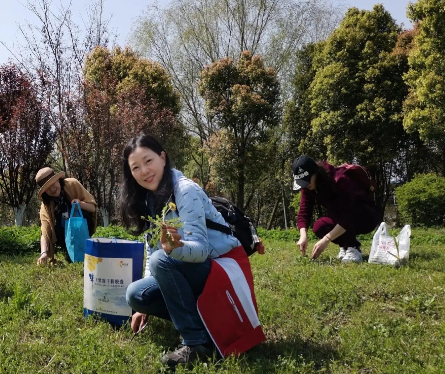 春天到了你挖野菜了吗,今年春天你吃野菜吗