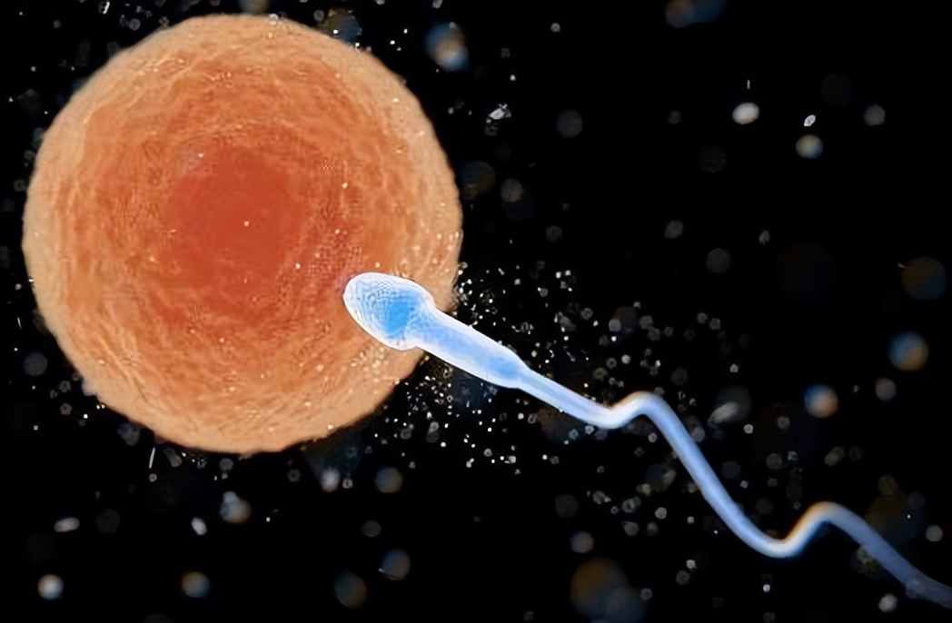 为什么女性更渴望异性,女性为什么渴望婚外情