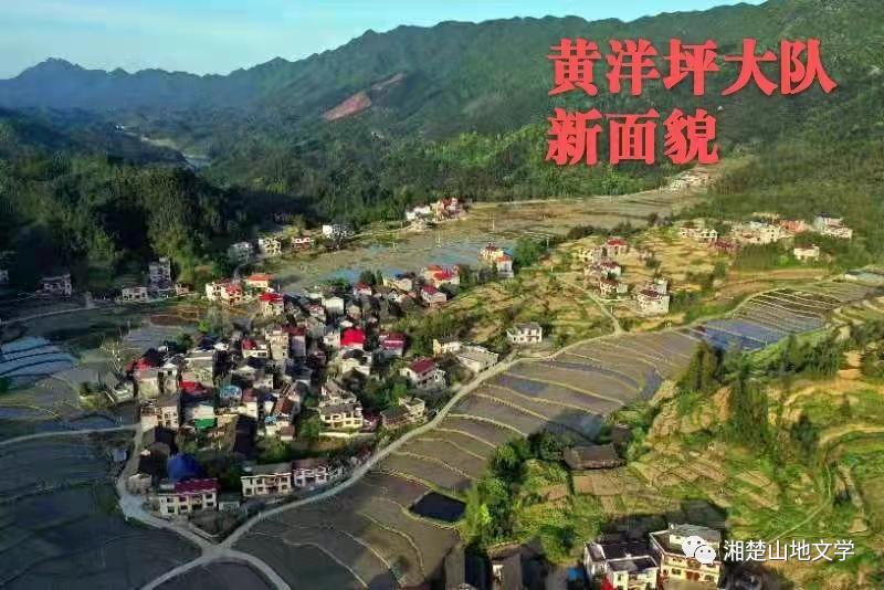 当年参加生产队劳动叫出工