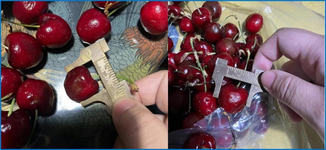 京东生鲜车厘子超级单品日,京东车厘子生鲜补贴