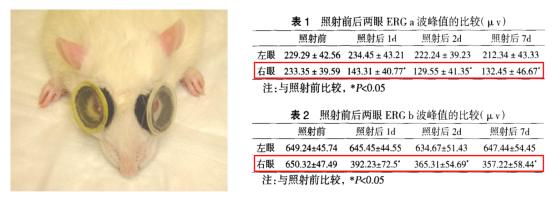 贴膜绿光与蓝光的区别,贴膜蓝光和超清哪个画质好