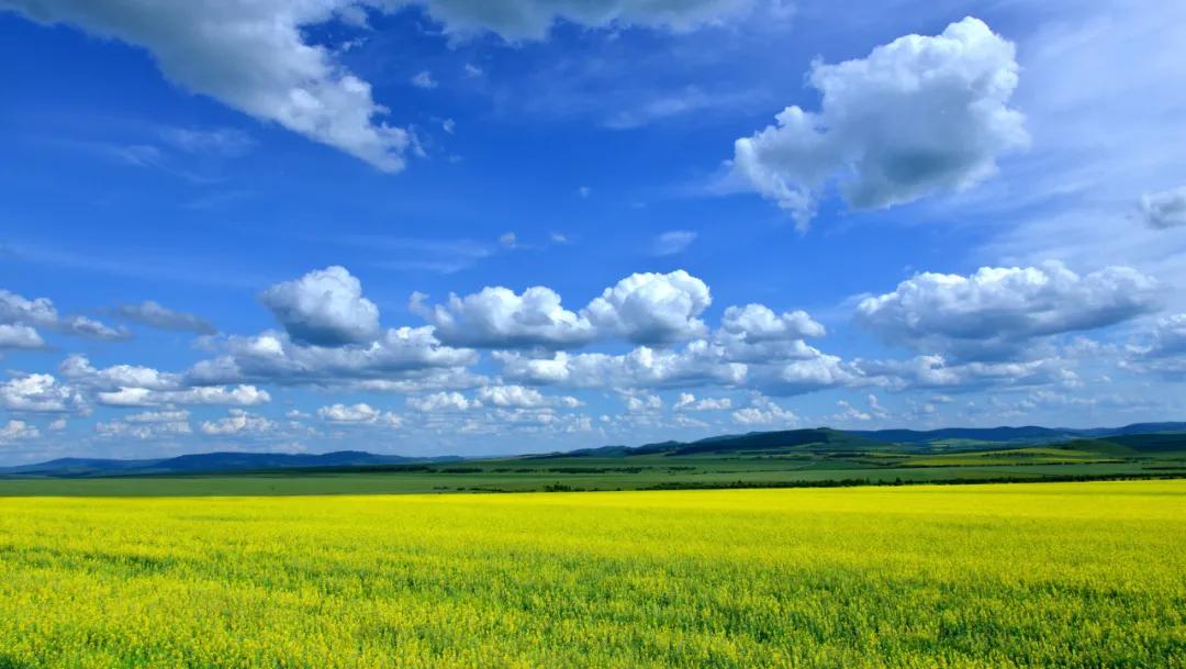 感叹岁月变迁的古诗词,100句关于岁月变迁的诗词