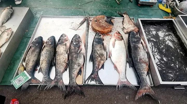 中国申请高句丽世界文化遗产遗址,高句丽历史文化遗址