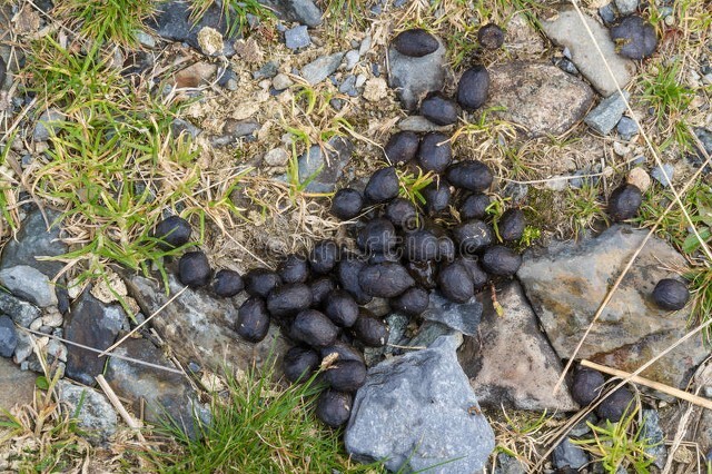 90后程序员改行卖早餐年入30万,90后程序员辞职摆摊卖多肉