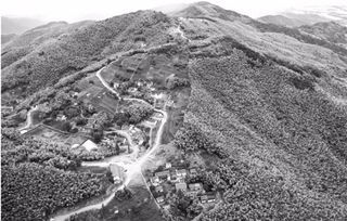 同样孤悬敌后,31师91团安全脱险而180师损失惨重,91团如何做到