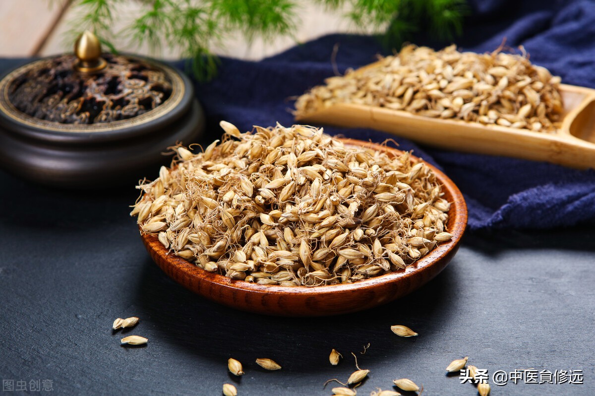 大剂量炒麦芽的妙用——乳头溢液案