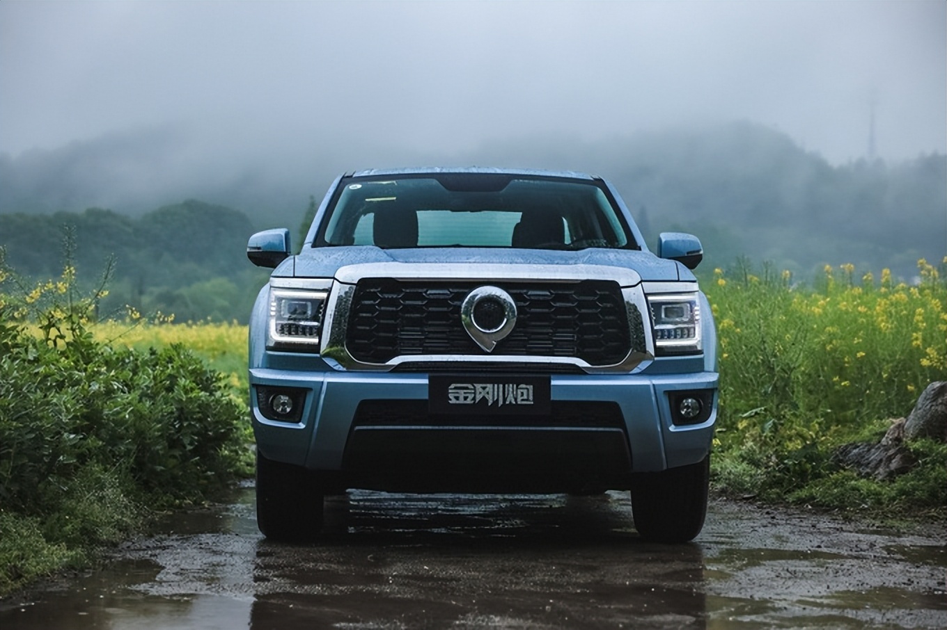 长城炮皮卡发展前景,长城炮进军皮卡市场