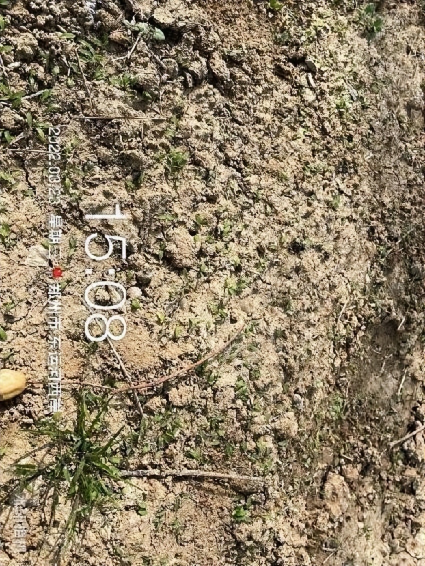 12月份园林绿化养护工作重点,元月份园林养护重点工作