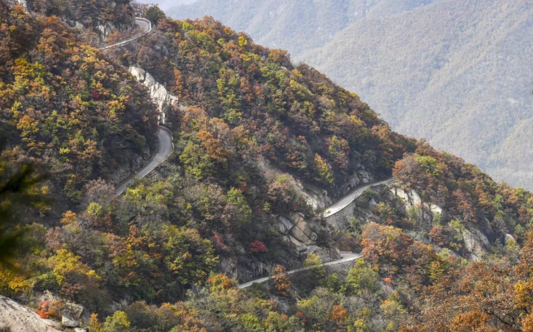 洛阳网红打卡地推荐,洛阳又一个网红打卡地