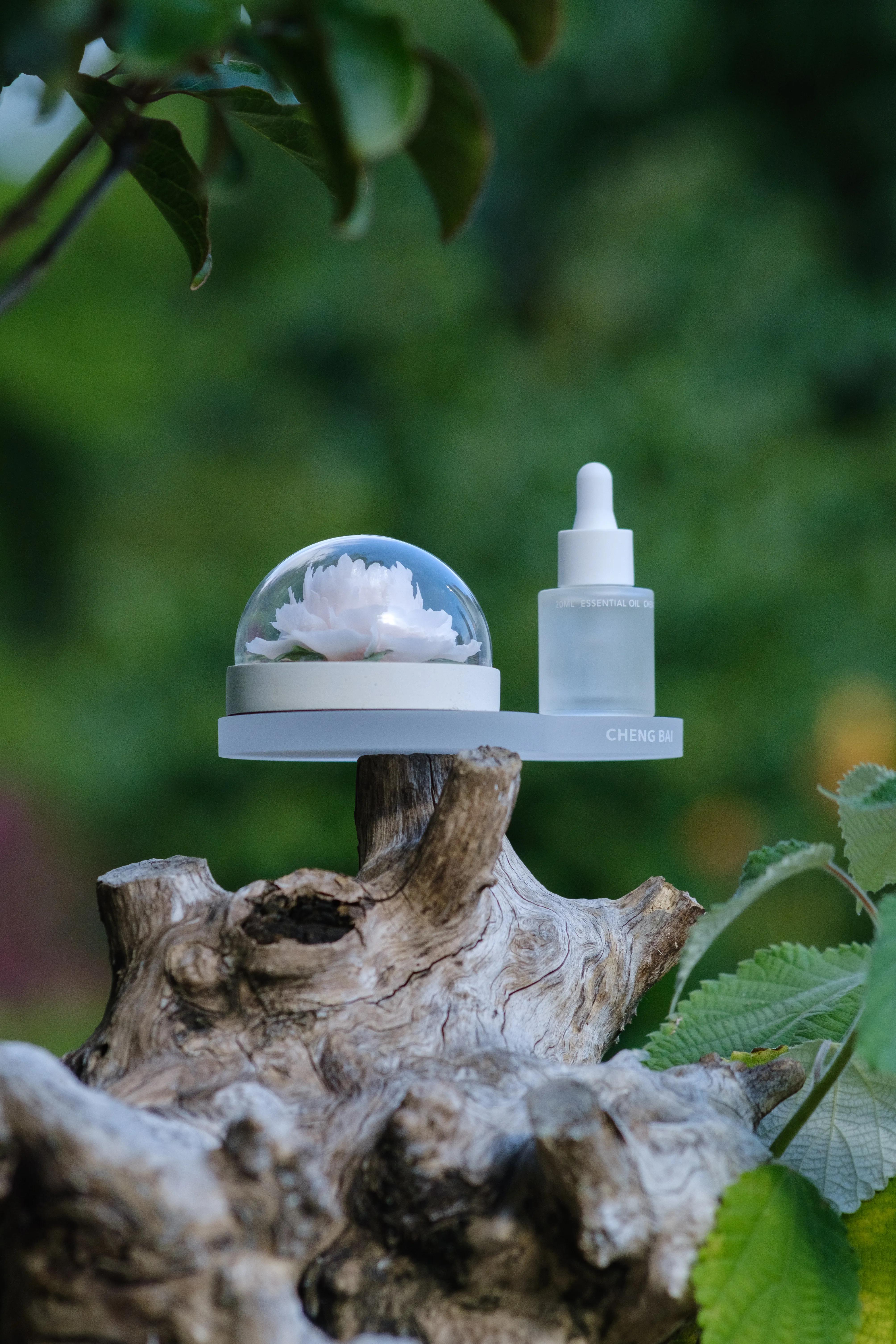 富士高性价比长焦镜头推荐,富士直出有多强