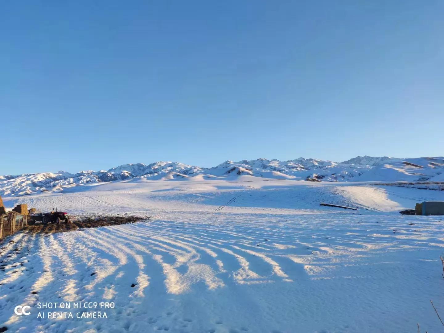 现在新股上市前5天怎么操作,新股上市如何操作