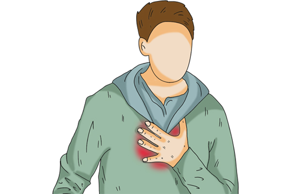 心脏的寿命跟心率的快慢有关系吗,心率的快慢影响寿命吗