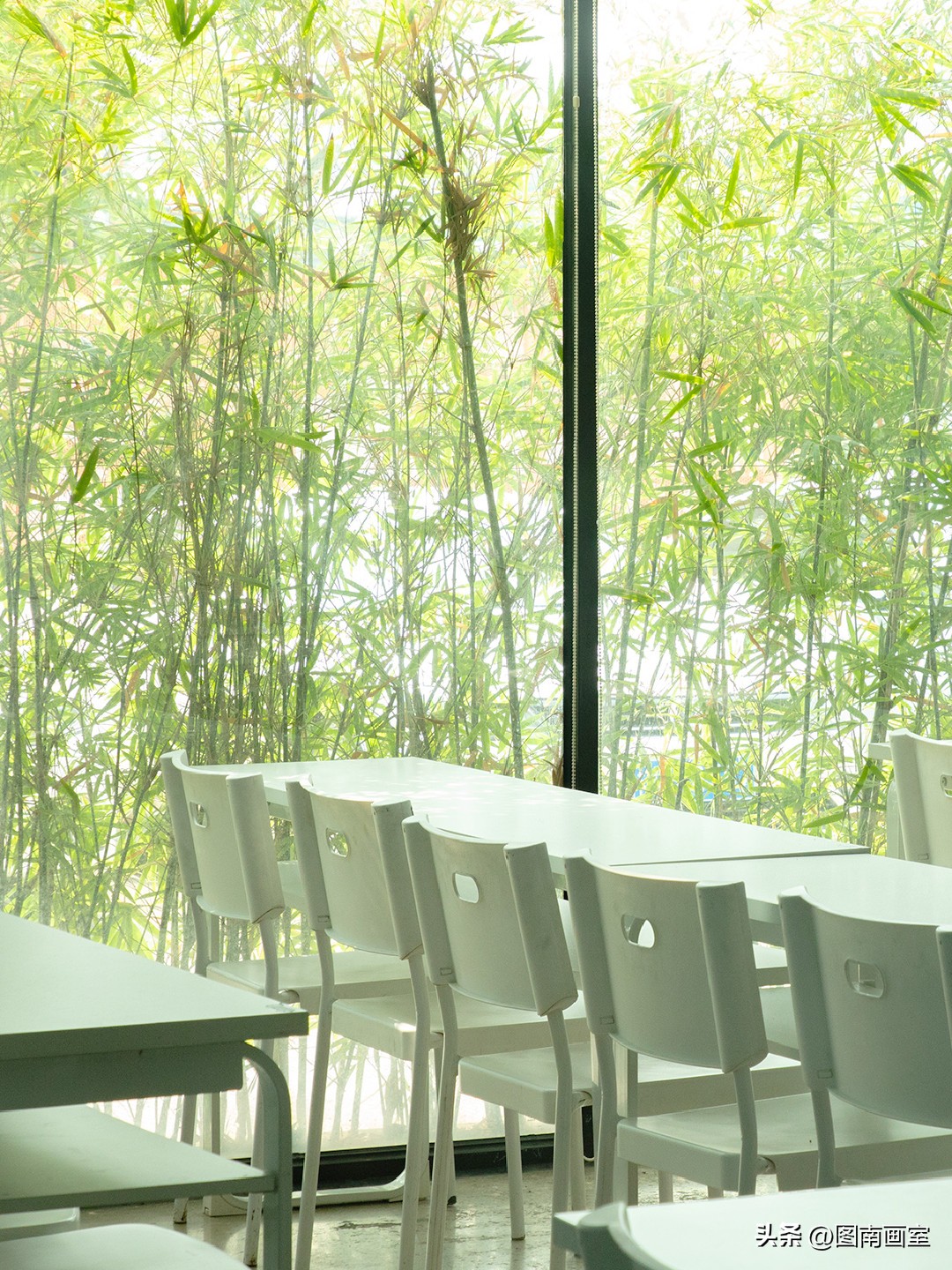 糟糕！我被图南画室的春天校园种草了！