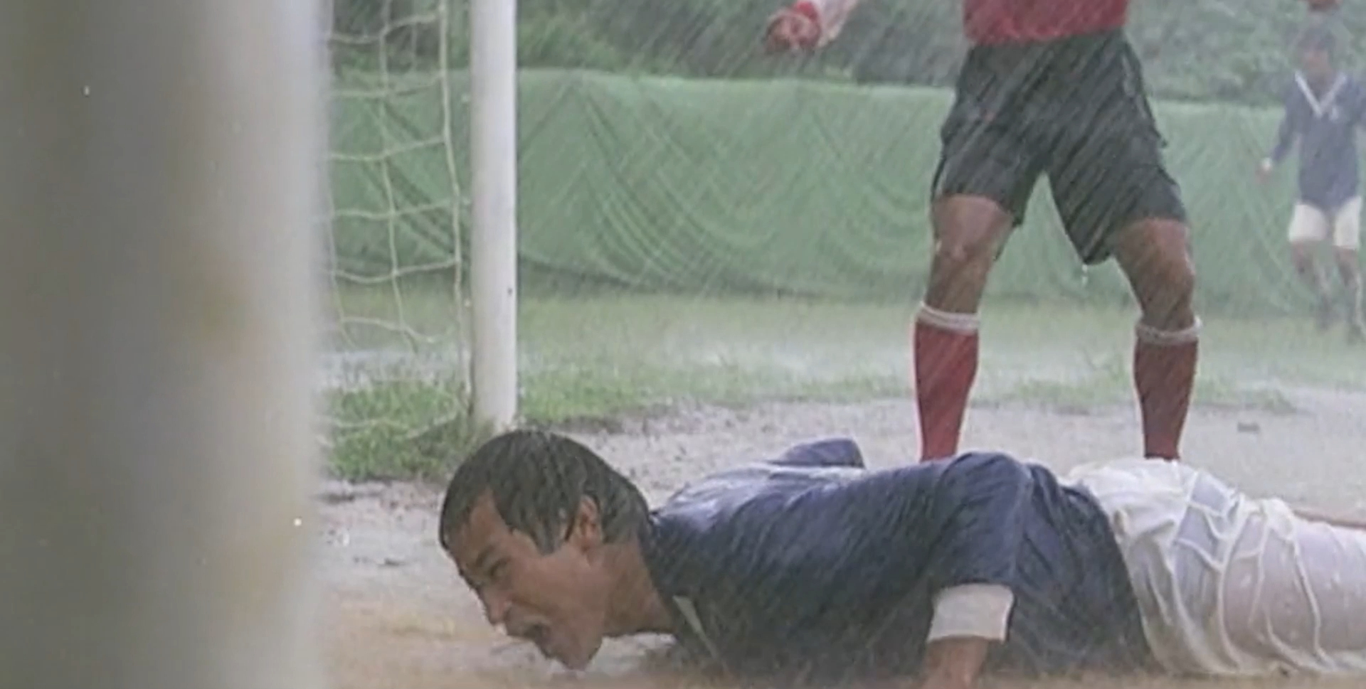 赶鸭子的小伙子,赶鸭的小伙