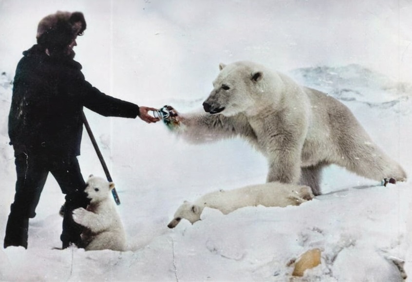 美国女人的收藏品，全美服装比赛上的佳丽，40张照片带你看全球