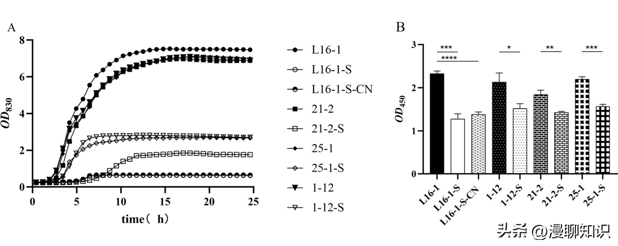大肠杆菌是什么样,大肠杆菌学名