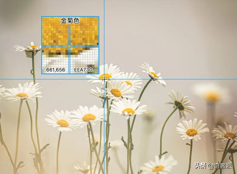 新增带壳截图、OCR识别，macOS全能截图神器全面升级