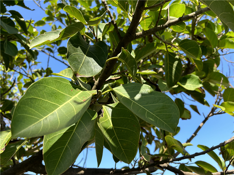 iphone14使用真实测评,iphone14使用体验最新