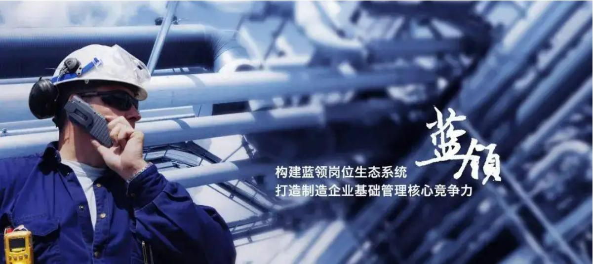 中国现在白领平均工资,中国白领失业率