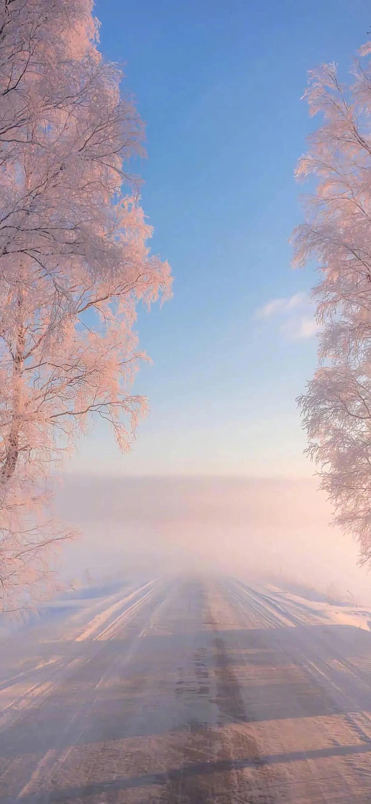 最美古诗词朗诵,最美古诗词全鉴阅读