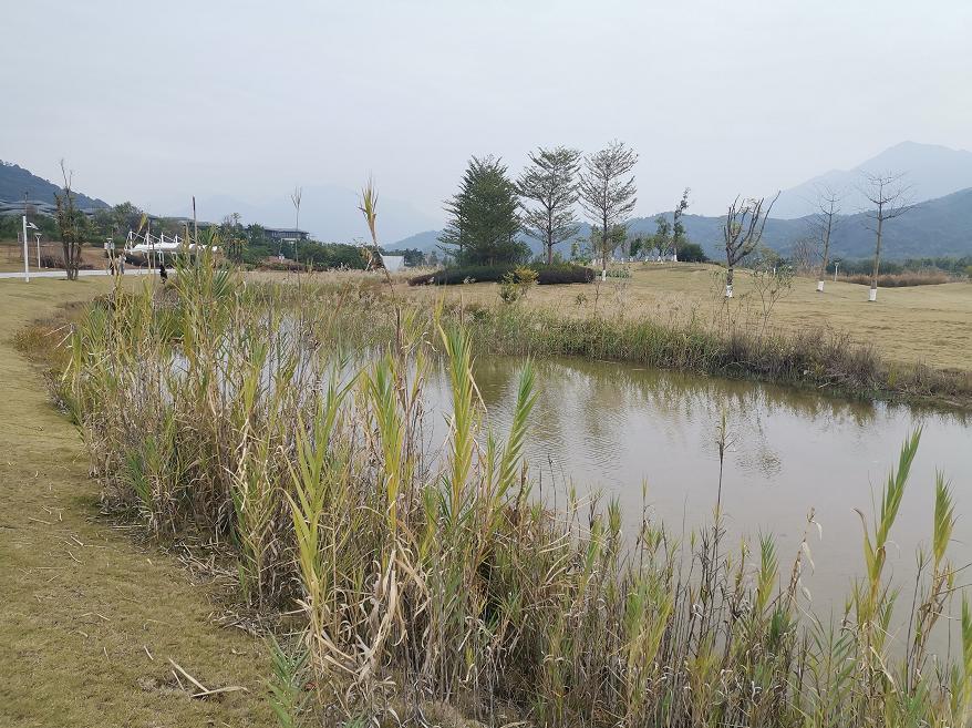 刘柏荣|豪*欲情**把春留住:花困东君酒点唇(原创诗词十首)