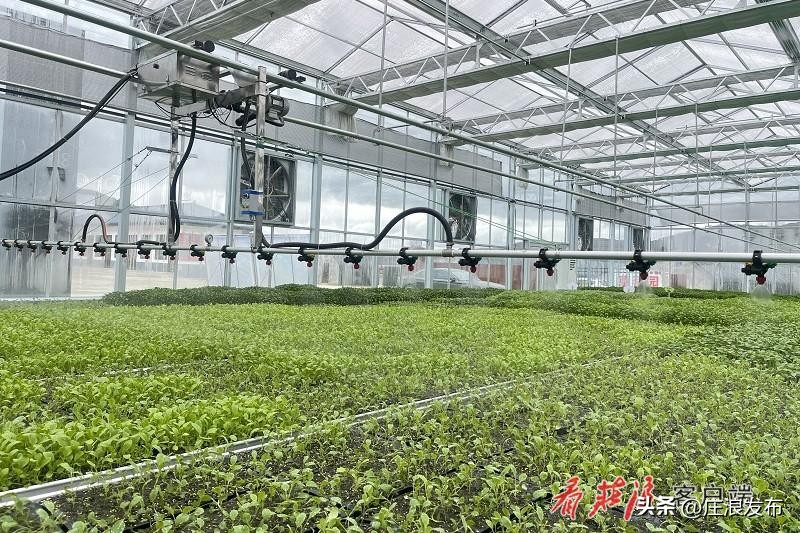 庄浪重大项目,庄浪县重大项目建设